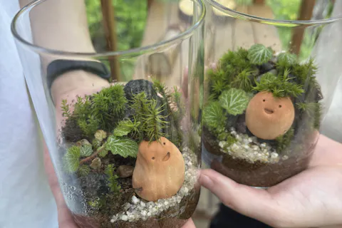 森の中で作る！苔テラリウム体験｜アソビュー！