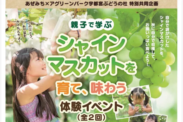 ★農産物直売所あぜみち×アグリーンパーク宇都宮ぶどうの杜★親子で学ぶ！シャインマスカット摘粒・袋がけ＆収穫体験♪※料金に含まれる内容⇒第1回：摘粒・袋がけ体験(基本2房迄)と第2回：収穫・食べ放題体験
