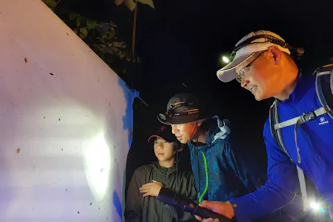【長野　中軽井沢から車で25分】夜に活動する昆虫を探そう！家族で夜の森ハイキング