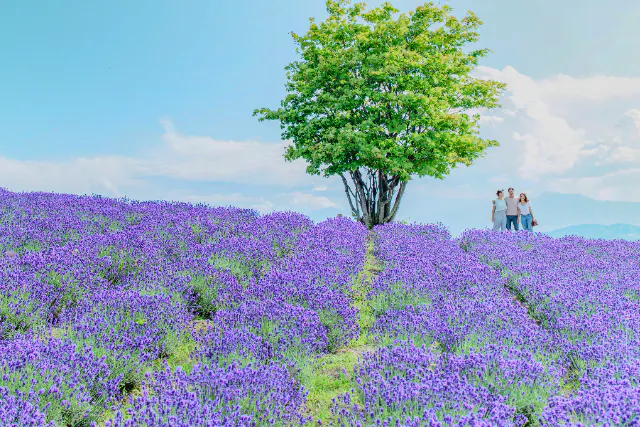 【札幌市内】北海道旅行の思い出をプロが撮影｜街歩きロケーションフォト