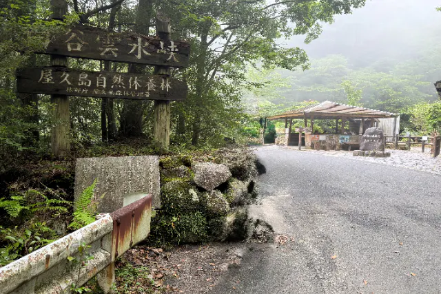 貸切選べる３つのスタート時間【屋久島　白谷雲水峡苔むす森まで】１−2名様のプライベートトレッキング