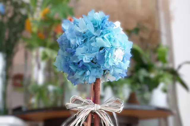 【神奈川県・小田原市・トピアリー】おしゃれなお花のインテリアを手作りしましょう！