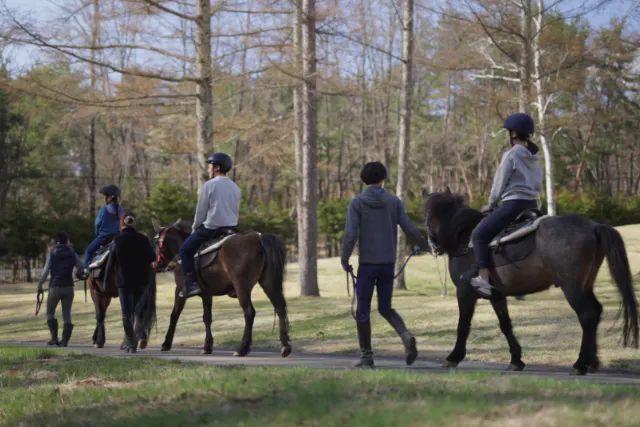 【山梨・ホーストレッキング・乗馬】木曽馬と森を歩く引き馬体験15分