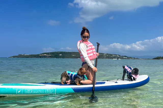 古宇利島・愛犬とSUP】愛犬と楽しむ！ドローン撮影＆温泉付｜アソビュー！