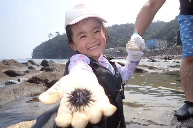 【神奈川・湯河原・真鶴・小田原 3歳～ 夏の磯遊び教室】海の生き物を探して触ってみよう 未経験親子大歓迎 2つのプレゼントあり 夏の自由研究にも