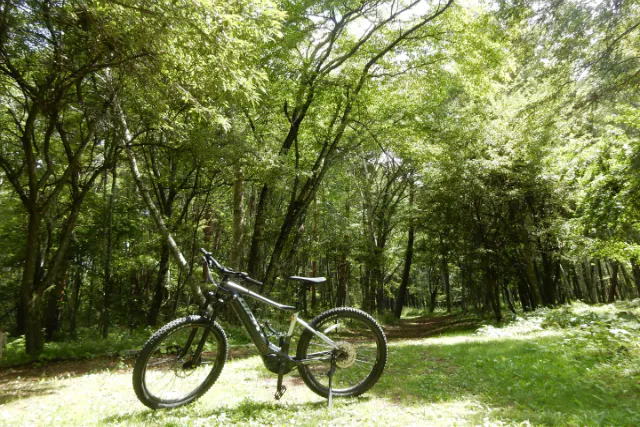 【長野・八ヶ岳の麓　原村・レンタサイクル】レンタルE-BIKEで高原を走り抜けよう！＜３時間利用＞