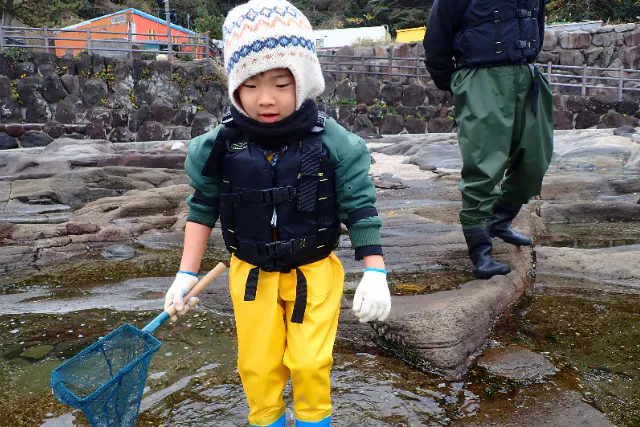 【神奈川・湯河原・真鶴・小田原 5歳～ 胴長着用 春秋冬の磯遊び教室】生き物を探して触ってみよう 体は濡れずに暖かく楽しめる 未経験親子大歓迎 2つのプレゼントあり