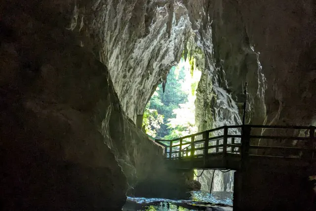 【山口・秋吉台・秋芳洞・ガイドツアー】(150分)秋吉台＆秋芳洞の両方をガイドと行く！★祝2026年世界ジオパーク認定★Mine秋吉台ジオパーク・国定公園・特別天然記念物