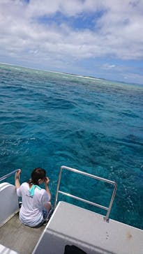 Sea World（シーワールド）に投稿された画像（2018/6/8）