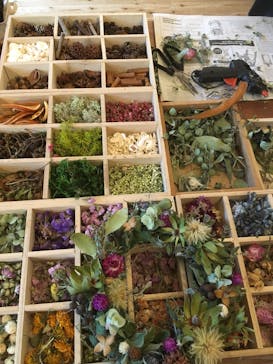 une graine（アングレンヌ）に投稿された画像（2018/9/27）