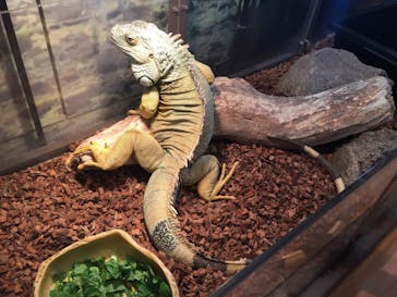 オービィ横浜に投稿された画像（2017/10/1）