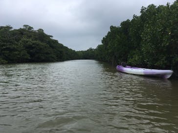 CHOROに投稿された画像（2019/4/27）