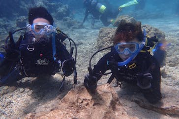 ダイビングショップ Sea Free（シーフリー）に投稿された画像（2019/3/26）