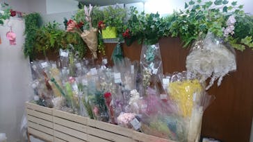 ずこうしつ〜sugamo〜に投稿された画像（2019/3/3）