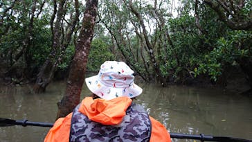 マングローブ茶屋に投稿された画像（2019/2/16）