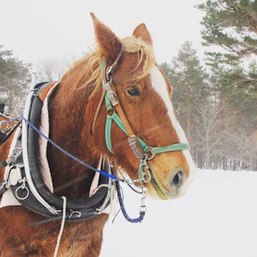 岩手山焼走り国際交流村に投稿された画像（2018/1/25）