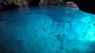 武藤潜水に投稿された画像（2019/4/4）