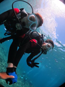 diving&workshop IHANASHI（ダイビングアンドワークショップイハナシ）に投稿された画像（2018/8/17）