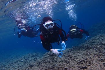 diving&workshop IHANASHI（ダイビングアンドワークショップイハナシ）に投稿された画像（2019/3/27）