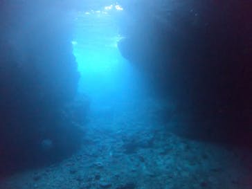 武藤潜水に投稿された画像（2019/5/24）