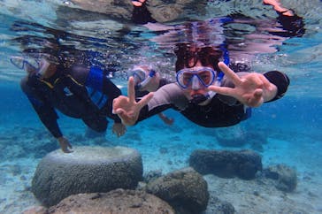 diving&workshop IHANASHI（ダイビングアンドワークショップイハナシ）に投稿された画像（2019/2/16）