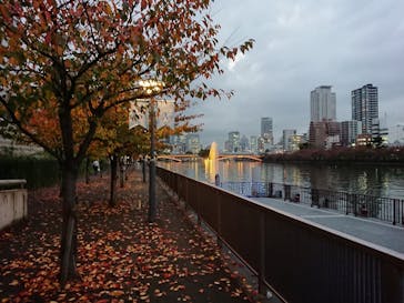 大阪水上バスに投稿された画像（2018/11/19）