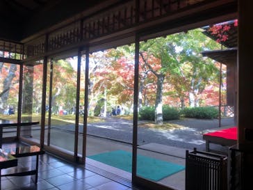 箱根美術館に投稿された画像（2018/11/12）