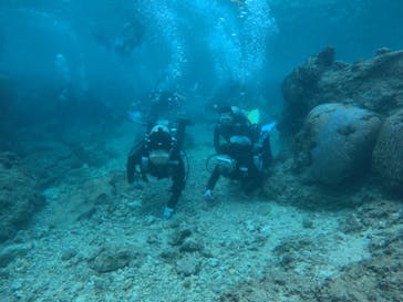 ドロップイン 沖縄に投稿された画像（2019/1/1）