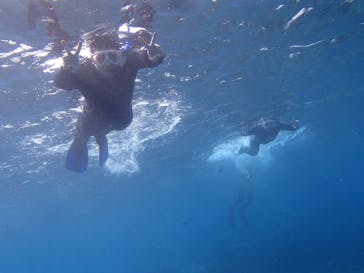 沖縄マリンクラブ結に投稿された画像（2018/12/27）