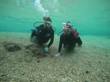 武藤潜水に投稿された画像（2019/4/3）