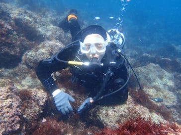 アクオス-イズに投稿された画像（2019/4/5）