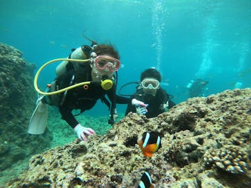 武藤潜水に投稿された画像（2019/3/28）