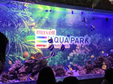 マクセル アクアパーク品川に投稿された画像（2019/5/6）