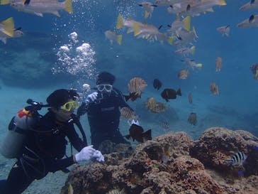 沖縄マリンクラブ結に投稿された画像（2019/3/12）