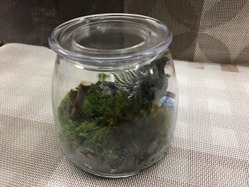 カルチャースクールいろはに投稿された画像（2018/7/2）