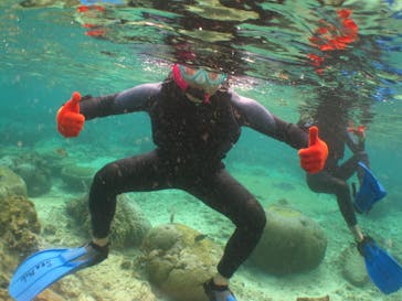 沖縄ダイビングショップシーモールに投稿された画像（2019/2/27）