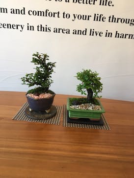 キマルスペースに投稿された画像（2018/5/4）