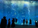 アクアワールド茨城県大洗水族館に投稿された画像（2019/5/3）