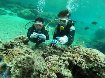 武藤潜水に投稿された画像（2019/2/17）