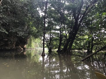 CHOROに投稿された画像（2019/3/14）