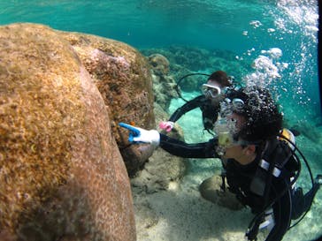 ドロップイン 沖縄に投稿された画像（2019/2/27）