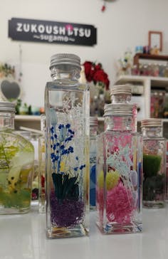 ずこうしつ〜sugamo〜に投稿された画像（2019/5/25）