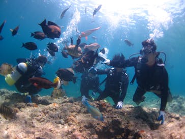 ドロップイン 沖縄に投稿された画像（2018/5/31）