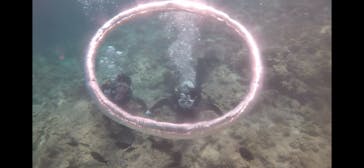 青の洞窟専門店　沖縄ダイビングショップ和に投稿された画像（2018/7/10）