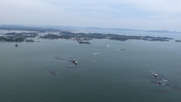 松島熱気球・パラグライダー体験に投稿された画像（2019/5/9）