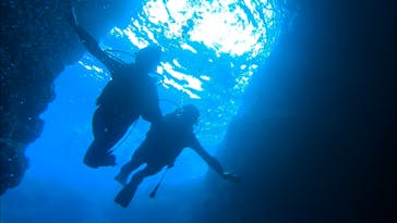 青の洞窟専門店　沖縄ダイビングショップ和に投稿された画像（2019/2/7）