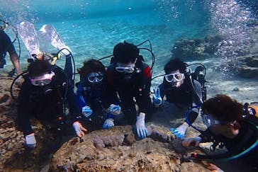 diving&workshop IHANASHI（ダイビングアンドワークショップイハナシ）に投稿された画像（2019/4/2）