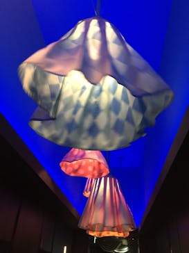 サンシャイン60展望台に投稿された画像（2018/8/19）