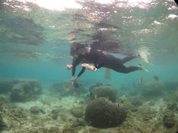 diving&workshop IHANASHI（ダイビングアンドワークショップイハナシ）に投稿された画像（2018/7/4）