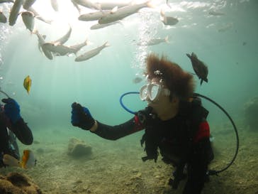 diving&workshop IHANASHI（ダイビングアンドワークショップイハナシ）に投稿された画像（2018/7/11）